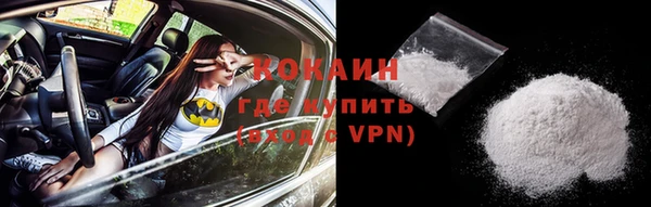 шишки Абинск